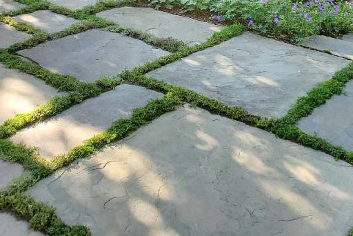 Bluestone sidewalk pieces with grass joints