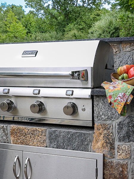 Stainless Steel Grill from Saber