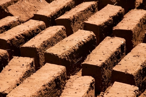 Photo of several rows of red clay bricks drying in the sun.