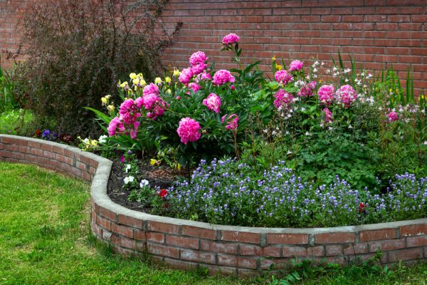 Reclaimed brick used for a raised garden bed.