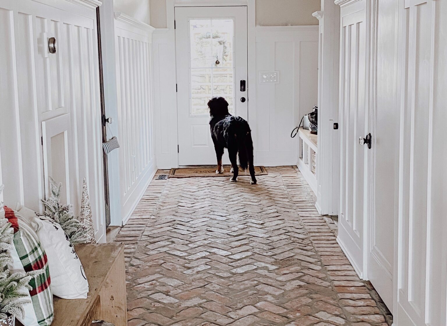 Mudroom with a reclaimed thin brick floor, featuring a dog looking out the window.
