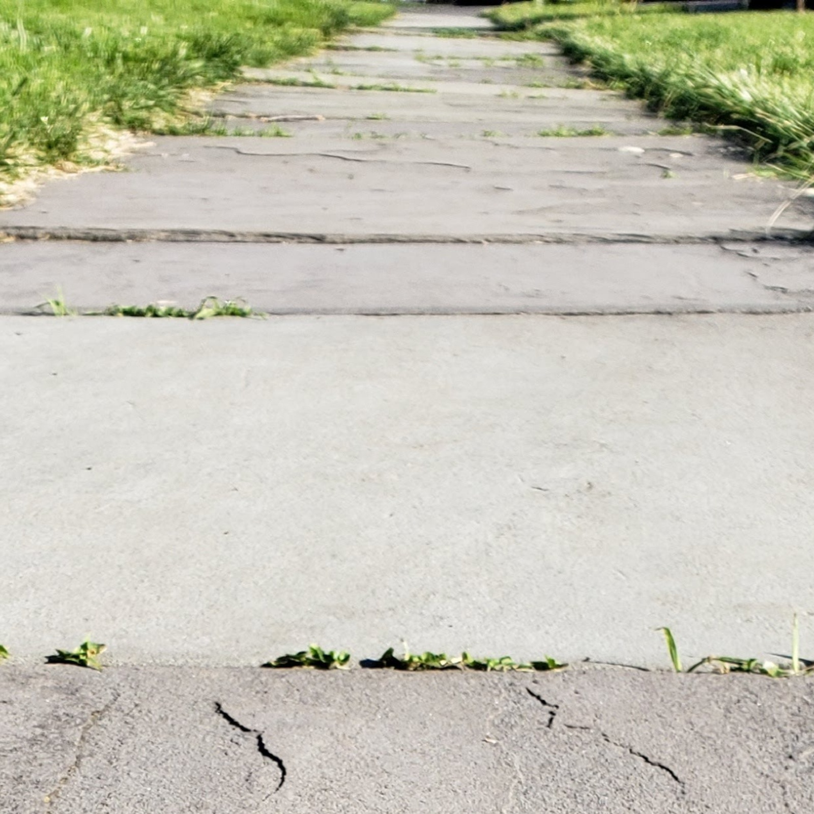 reclaimed-bluestone-sidewalks-pa-4