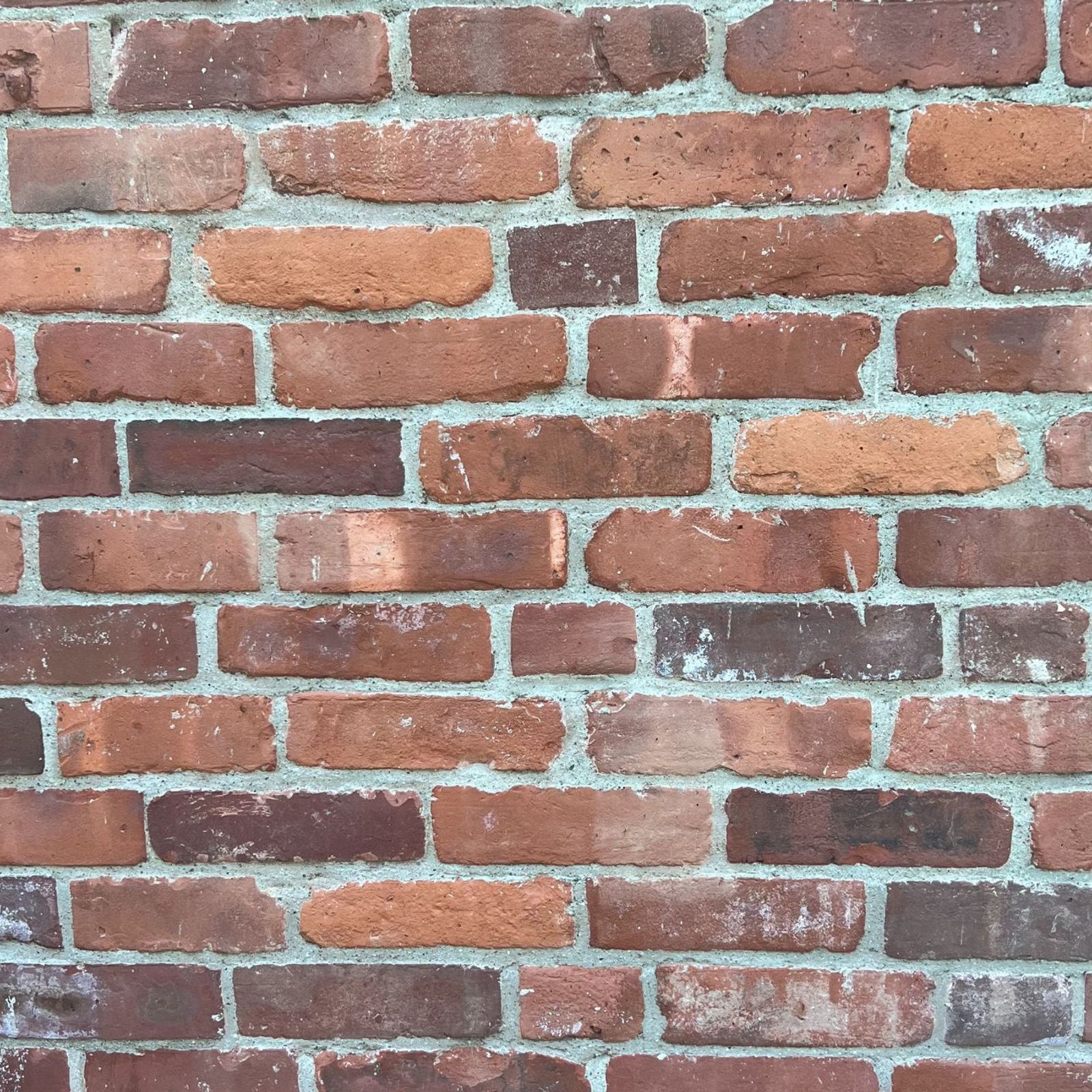 246