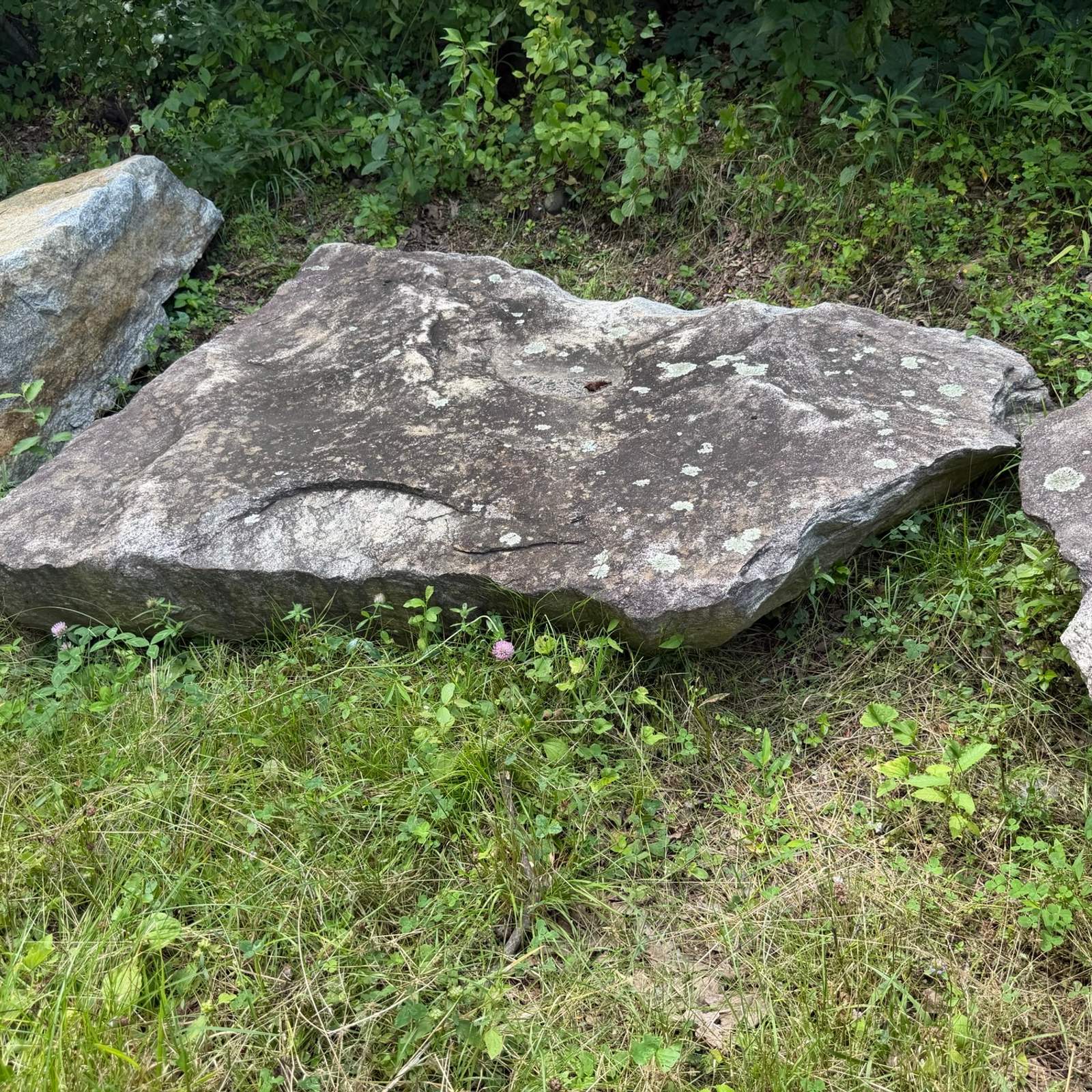 Weather-Fieldstone-Steppers__3_